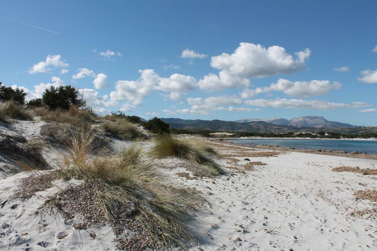 Villetta Indipendente Fronte Spiaggia Villa Budoni Dış mekan fotoğraf